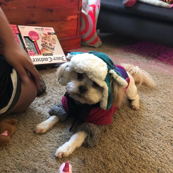 Meet your Posher, Alex - Picture 4 of 4